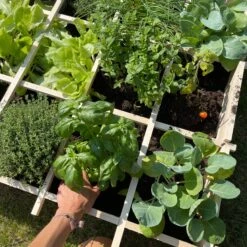 Carré Potager En Bois 90 X 90cm -Meubles Boutique VG90 05