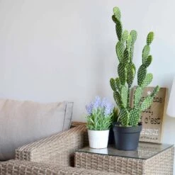 Cactus Artificiel Intérieur 72cm -Meubles Boutique ap72cactus 07a597aae5f011376535328d5767d519